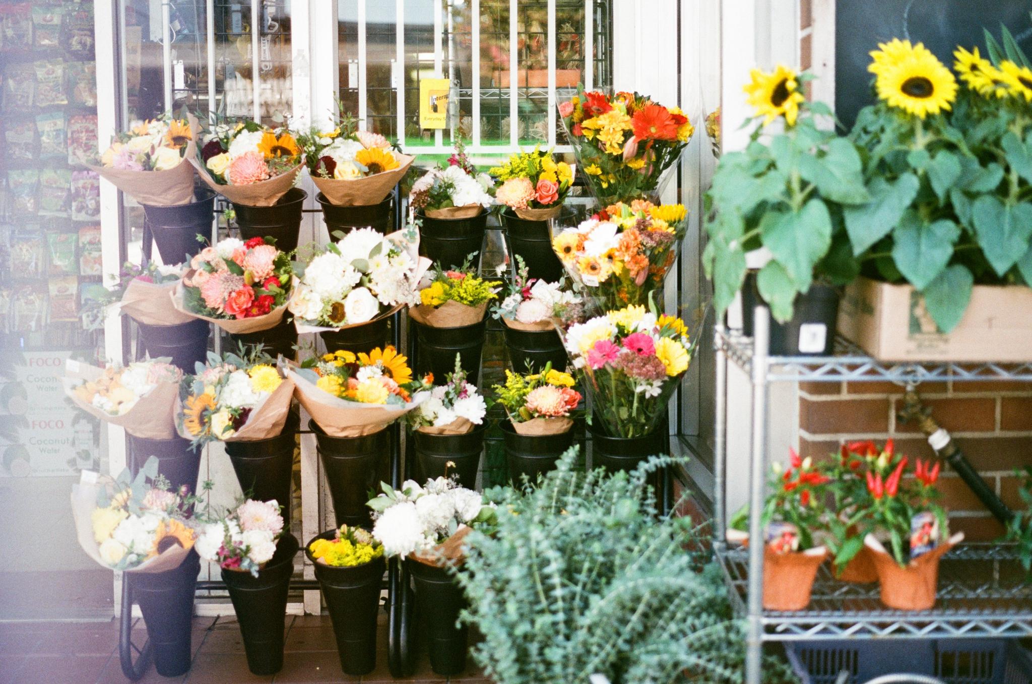 flowers